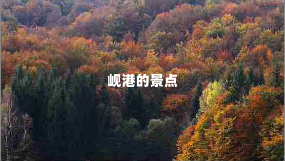 岘港的景点
