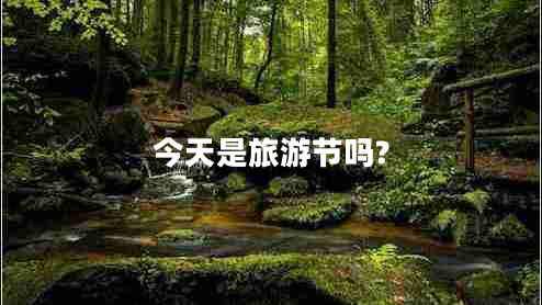 今天是旅游节吗?