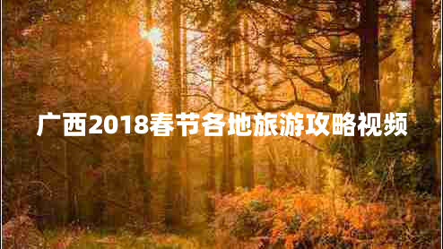 广西2018春节各地旅游攻略视频