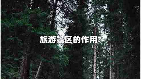 旅游景区的作用?