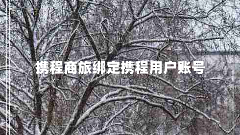携程商旅绑定携程用户账号