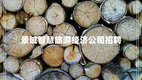 景域智慧旅游经济公司招聘
