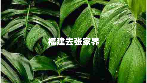 福建去张家界