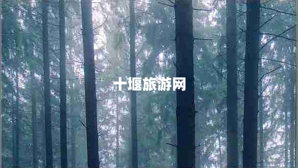 十堰旅游网