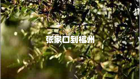 张家口到福州