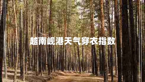 越南岘港天气穿衣指数