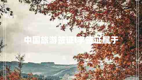 中国旅游签证l字签证属于