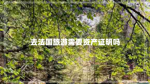 去法国旅游需要资产证明吗