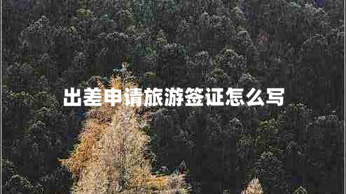 出差申请旅游签证怎么写