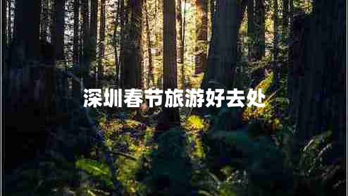 深圳春节旅游好去处