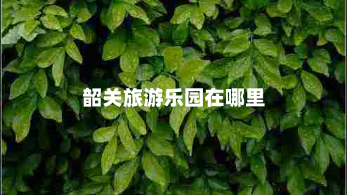 韶关旅游乐园在哪里