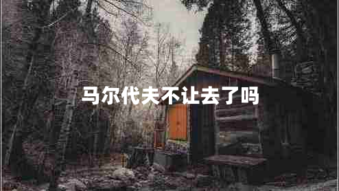 马尔代夫不让去了吗