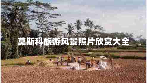 莫斯科旅游风景照片欣赏大全