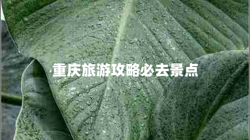 重庆旅游攻略必去景点