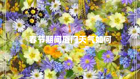 春节期间厦门天气如何