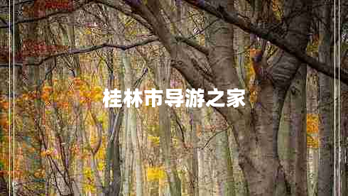桂林市导游之家