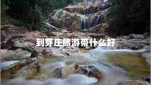 到芽庄旅游带什么好