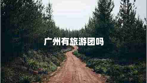 广州有旅游团吗