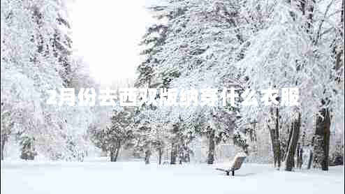 2月份去西双版纳穿什么衣服