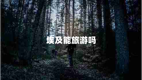 埃及能旅游吗 埃及能旅游吗