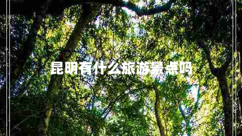 昆明有什么旅游景点吗