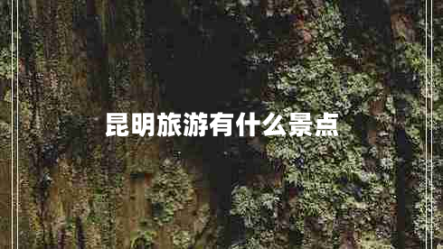 昆明旅游有什么景点