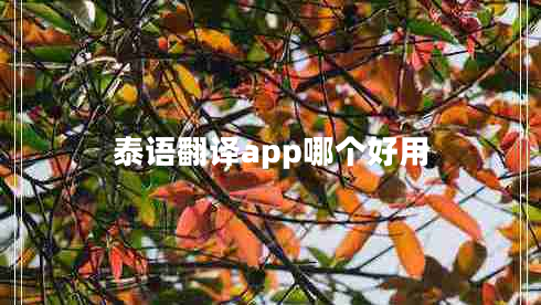 泰语翻译app哪个好用