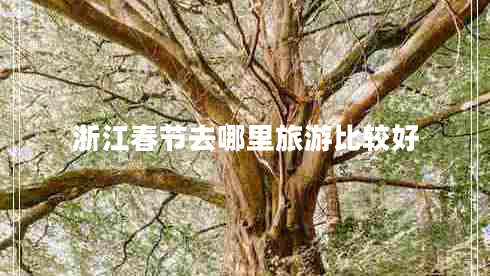 浙江春节去哪里旅游比较好