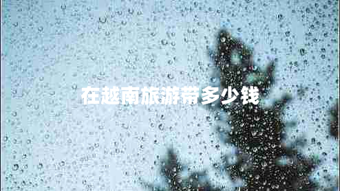 在越南旅游带多少钱