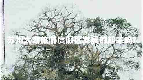 苏州太湖旅游度假区发展的起来吗?