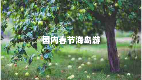 国内春节海岛游