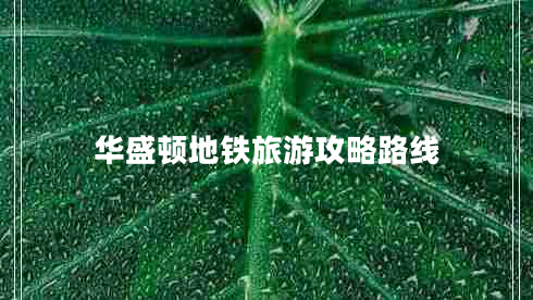 华盛顿地铁旅游攻略路线 华盛顿地铁旅游攻略路线