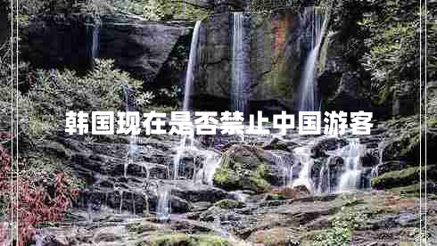 韩国现在是否禁止中国游客