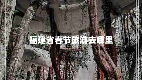 福建省春节旅游去哪里