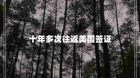 十年多次往返美国签证