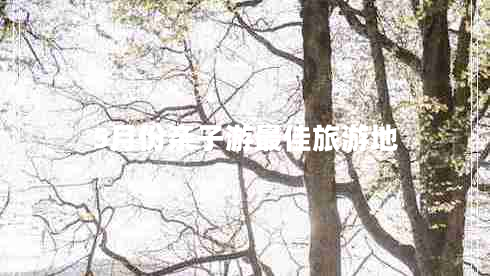 5月份亲子游最佳旅游地