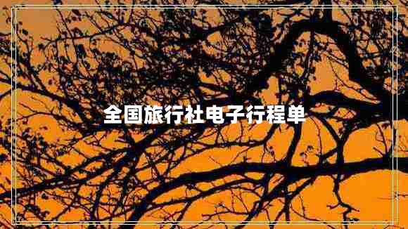 全国旅行社电子行程单