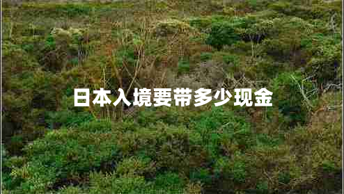 日本入境要带多少现金
