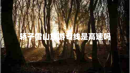 轿子雪山旅游专线是高速吗