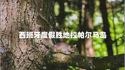 西班牙度假胜地拉帕尔马岛