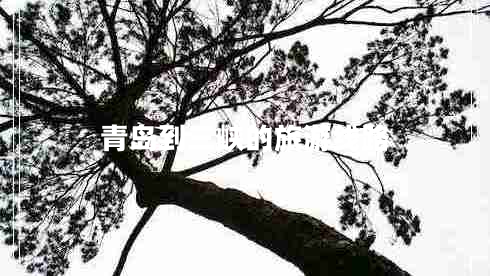青岛到三峡的旅游线路