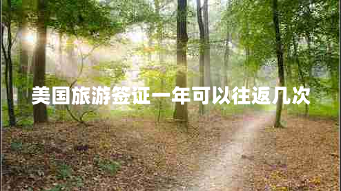美国旅游签证一年可以往返几次