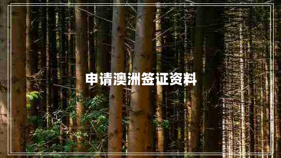 申请澳洲签证资料