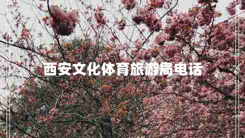 西安文化体育旅游局电话 西安文化体育旅游局电话