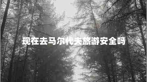 现在去马尔代夫旅游安全吗
