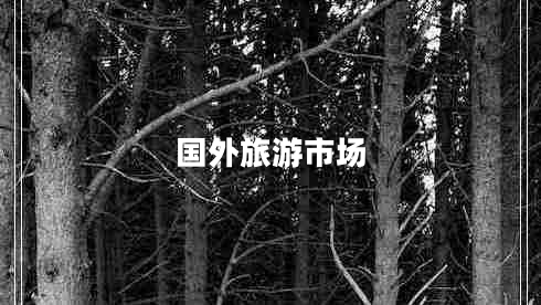 国外旅游市场