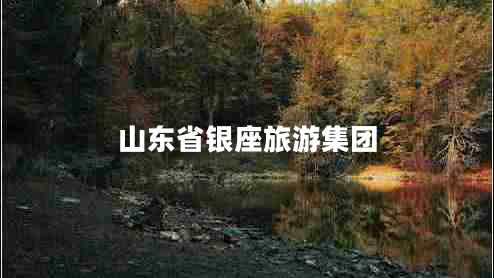 山东省银座旅游集团