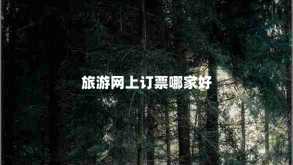 旅游网上订票哪家好