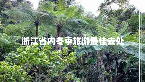 浙江省内冬季旅游最佳去处