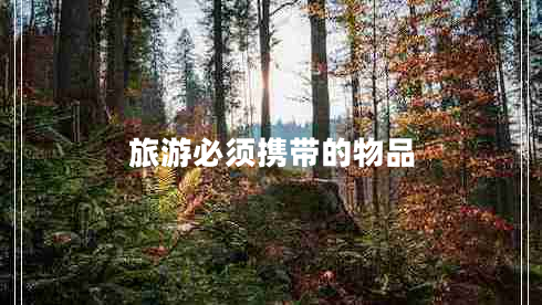 旅游必须携带的物品